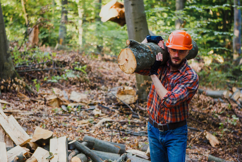 loggers injury lawyer